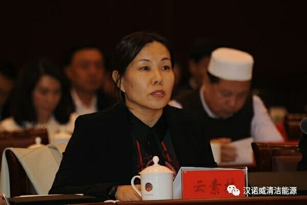 漢諾威清潔能源